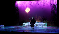 Into the Woods "Performance"